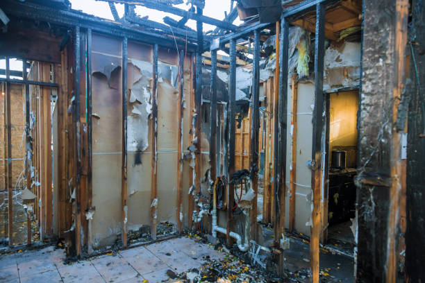 Professional Fire Damage Removal technician working in Highland, MD